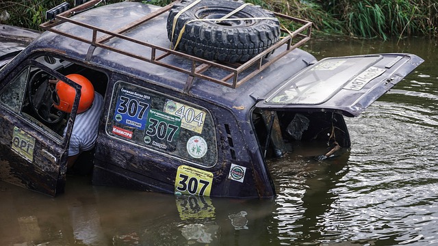 年轻球员的 年轻球员的